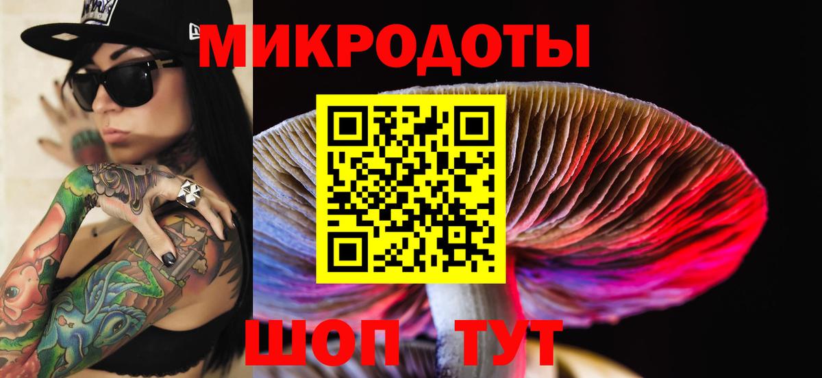 Галлюциногенные грибы Psilocybe  Вход с VPN  Жигулёвск  закладка  Галлюциногенные грибы Psilocybe 